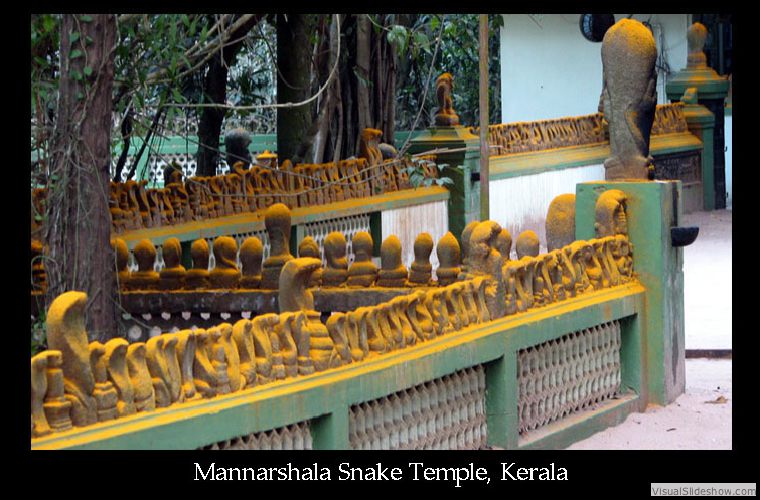 snake temple
